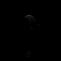 wolfyoffice blood sandman wolfy hörspiel GIF