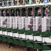 Racing Betting GIF by TwinSpires
