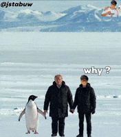 Penguin Mountains GIF