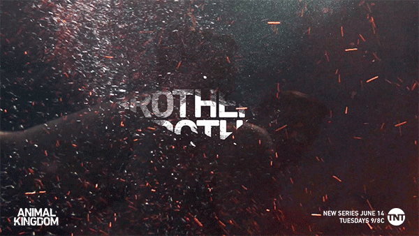 #animalkingdomtnt #brothers GIF by Animal Kingdom on TNT