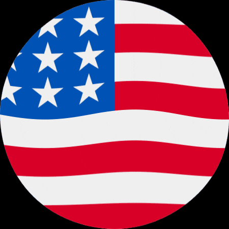 VoiceCrafters trump usa vote flag GIF