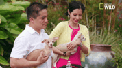 pupparazzi puppy potty face GIF by Nat Geo Wild