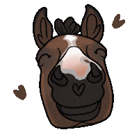 Horse Pony Sticker