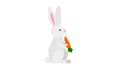 Easter Bunny Love Sticker by Positive Programming