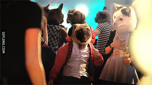 party time face cover GIF