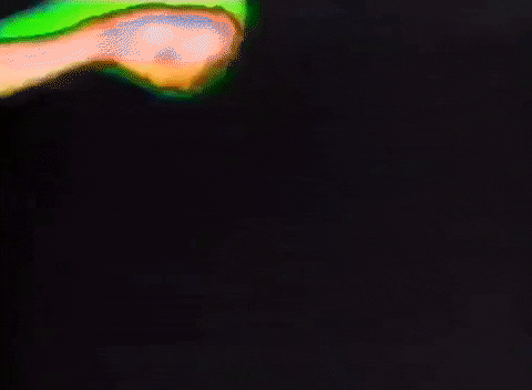 found footage echo party GIF