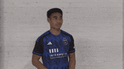 Soccer Futbol GIF by San Jose Earthquakes