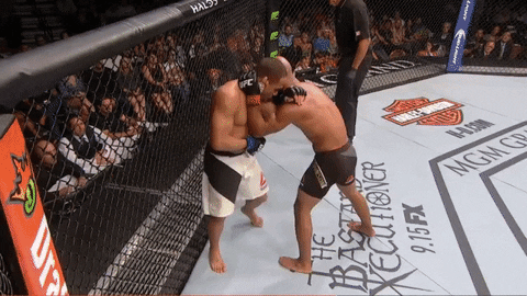 Mighty Mouse Ufc GIF