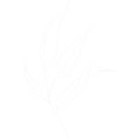 Leaf Leaves Sticker by Sálvora Store