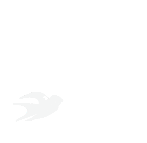 Bird Louisiana Sticker by The Gilded Sparrow