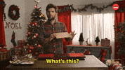 Adam Scott Christmas GIF by BuzzFeed