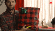 Adam Scott Christmas GIF by BuzzFeed