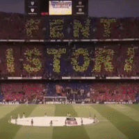 vinefcb GIF by FC Barcelona