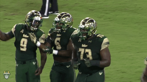 South Florida Football Usf GIF by SoFloBulls