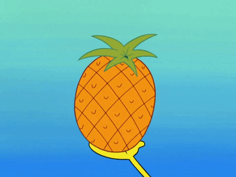 season 8 spongebob's runaway roadtrip: patrick's staycation GIF by SpongeBob SquarePants