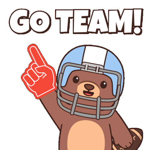 Super Bowl Win Sticker by BEARISH