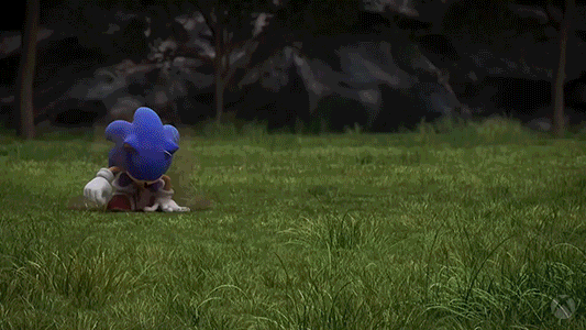 Sonic The Hedgehog Punch GIF by Xbox