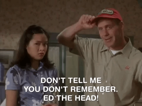 the mystery files of shelby woo nicksplat GIF