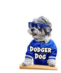 Los Angeles Baseball Sticker