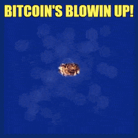 cryptomkg crypto bitcoin cryptocurrency btc GIF