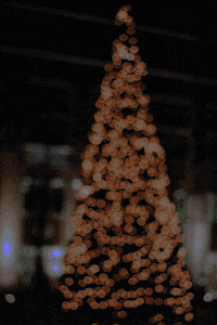 christmas lights GIF