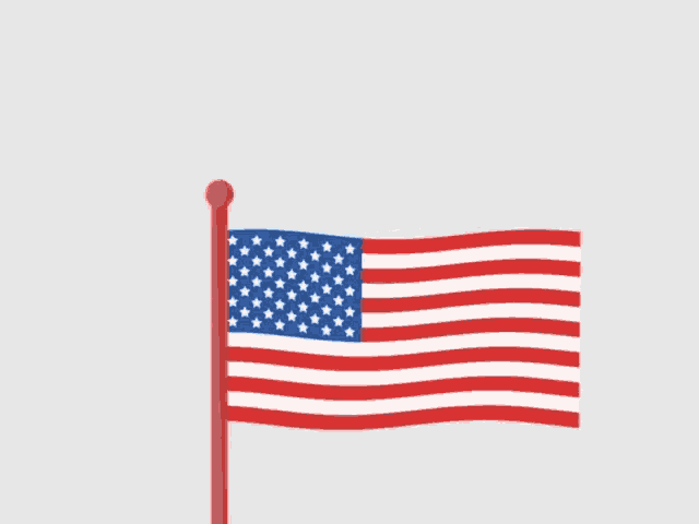 American Flag Army GIF