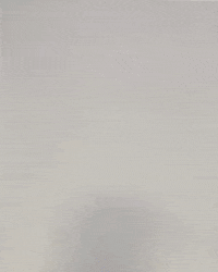 Letsgopeay GIF by Austin Peay Athletics