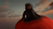 Flowers Fisheye GIF by Zedd