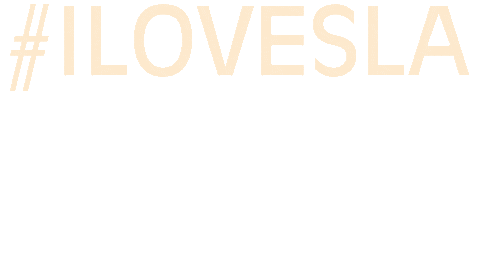 ilovesla giphyupload orange hashtag sla Sticker