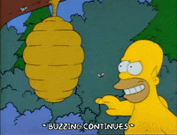 Season 1 GIF by The Simpsons