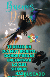Encontrar Un Dia GIF by Murcianys LLC
