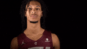 Littlerockmbb2020 GIF by Little Rock Athletics