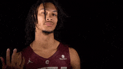Littlerockmbb2020 GIF by Little Rock Athletics