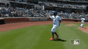 ny mets baseball GIF by New York Mets
