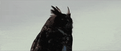 Music Video Rock GIF by Asking Alexandria