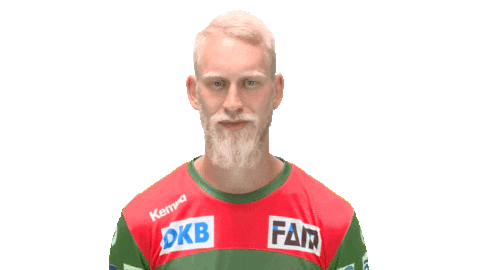 Handball-Bundesliga No Sticker by LIQUI MOLY HBL