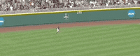 College World Series Baseball GIF by NCAA Championships