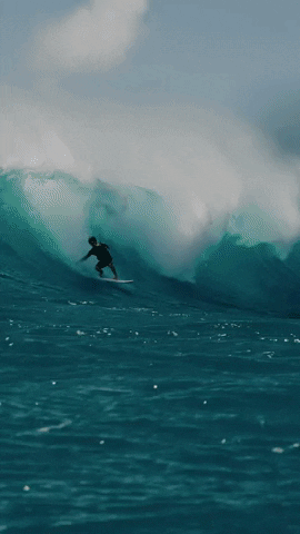 NorthKiteboarding giphyupload GIF