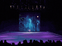 Feld Entertainment Wish GIF by Disney On Ice