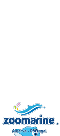 Happy Fun Sticker by Zoomarine Algarve