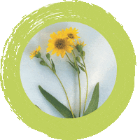 Boironromania Sticker by Boiron