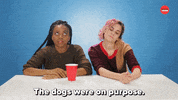 Drunk Dogs GIF by BuzzFeed