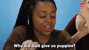 Drunk Dog GIF by BuzzFeed