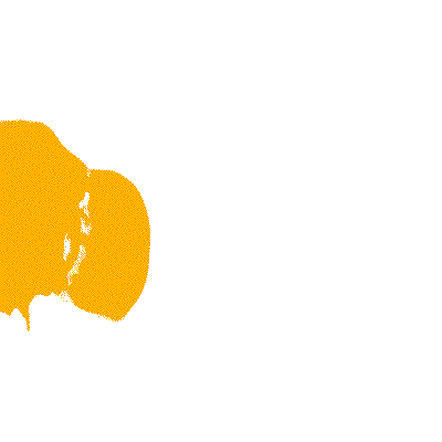 PapayaYoungDirectors giphyupload papaya papayayoungdirectors papayayoungdirectors2020 Sticker