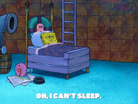 season 8 GIF by SpongeBob SquarePants