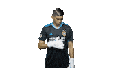 Los Angeles Football Sticker by LA Galaxy
