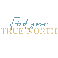 justbeth travel adventure north truenorth Sticker