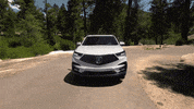 car adventure GIF by BlackPowderWorks