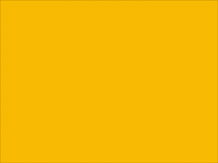 wutraditions GIF by Washington University in St. Louis