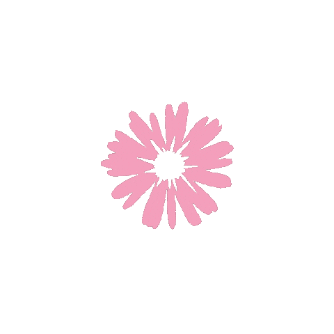 Scrapgami giphyupload flower bow flor Sticker
